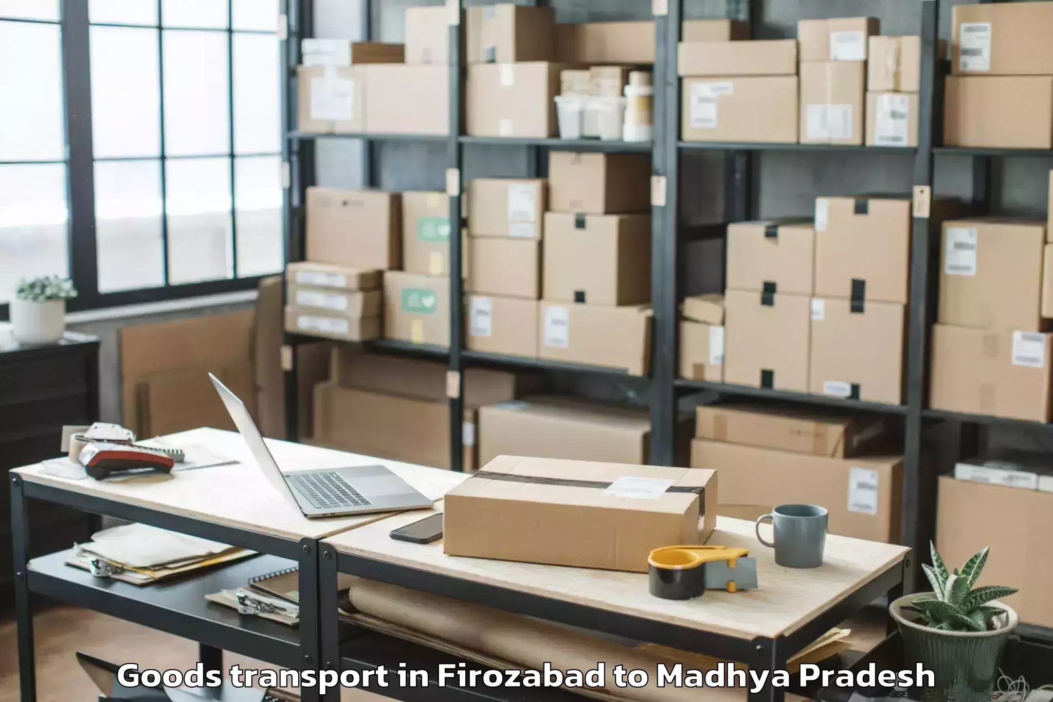 Professional Firozabad to Dhana Goods Transport